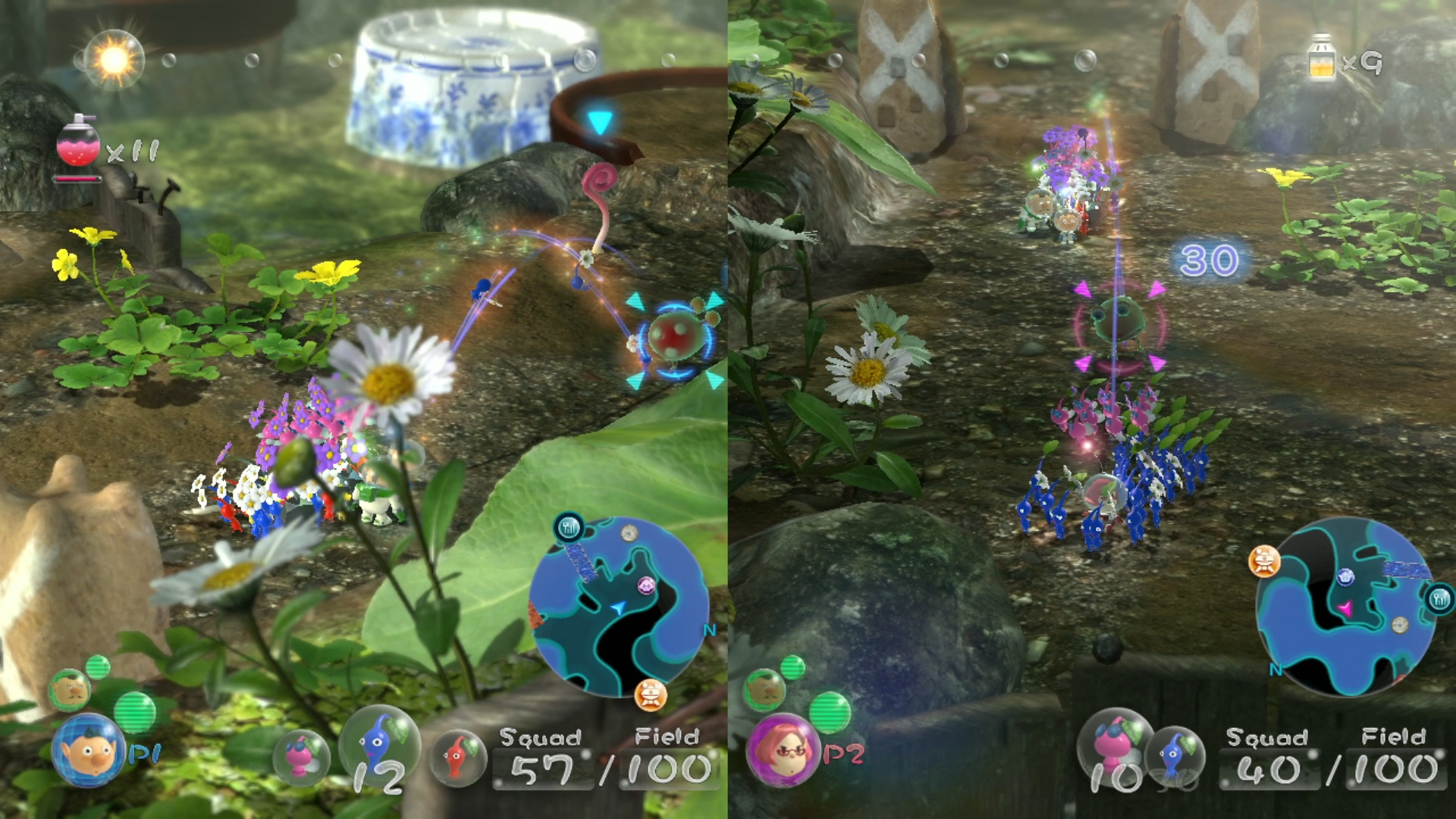 DLC in Pikmin 4 for Nintendo Switch 